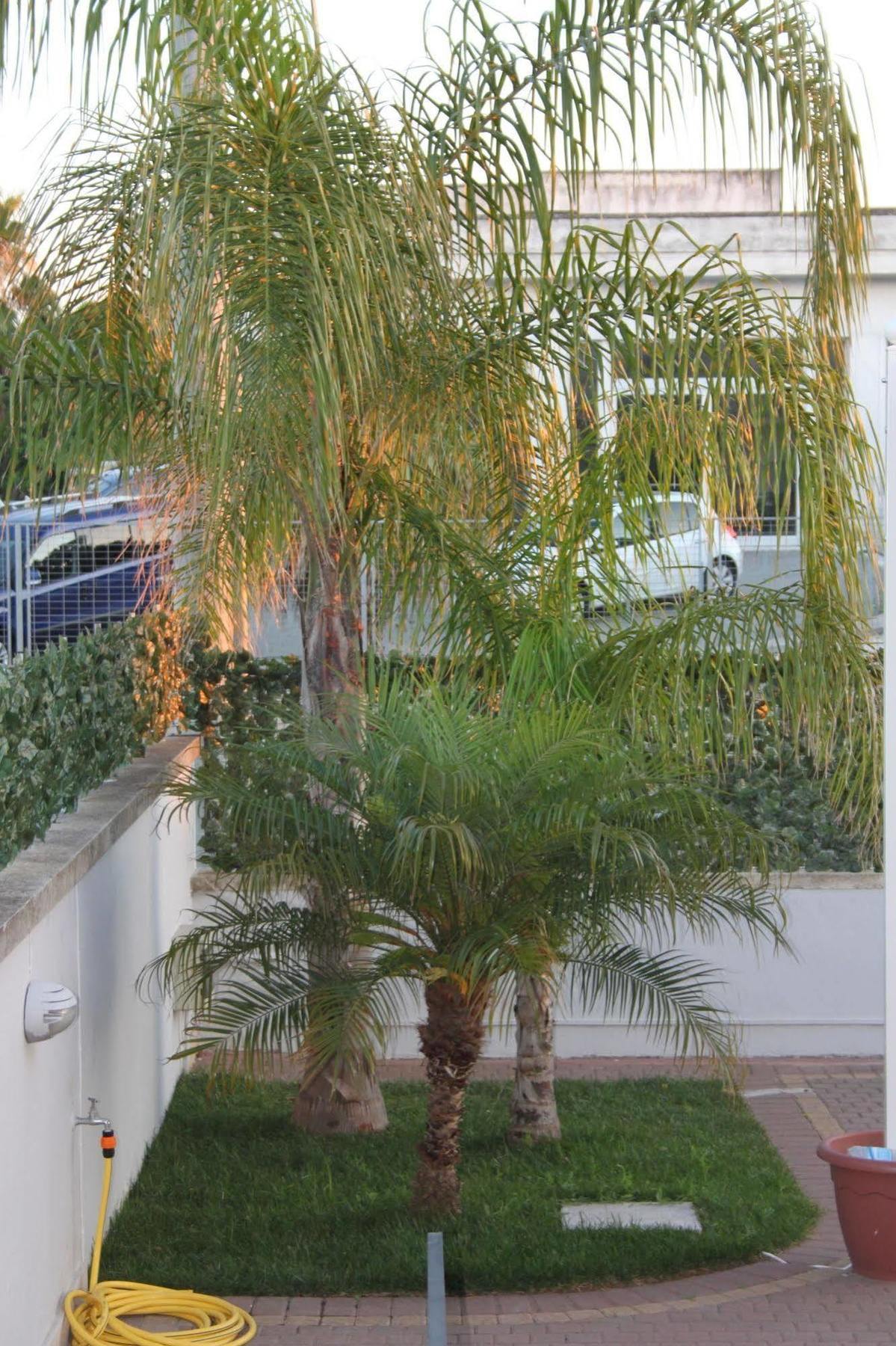 Kalinifta Residence Carpignano Salentino Exteriér fotografie